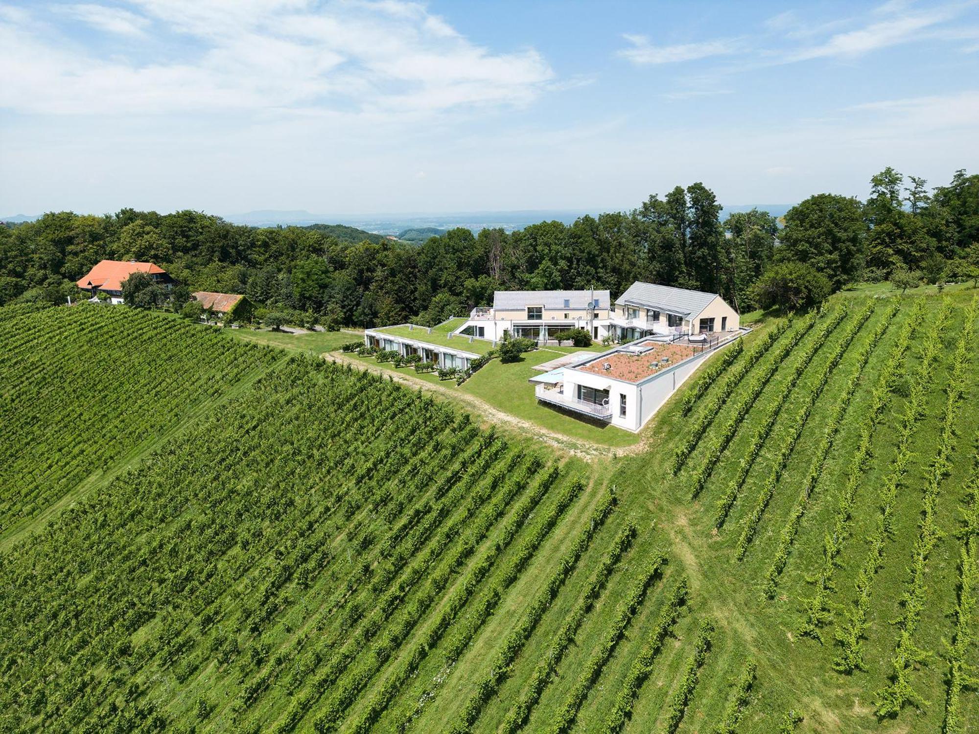 Relax Apartments An Der Lage Hochgrassnitzberg ชปีลเฟลด์ ภายนอก รูปภาพ